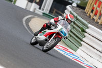 Vintage-motorcycle-club;eventdigitalimages;mallory-park;mallory-park-trackday-photographs;no-limits-trackdays;peter-wileman-photography;trackday-digital-images;trackday-photos;vmcc-festival-1000-bikes-photographs